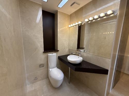 Duplex apartment in boutique block, Bulevardul Primăverii 5