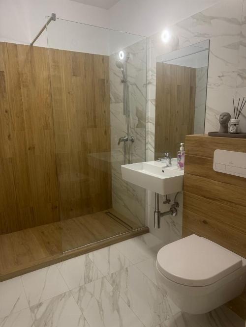 RENT | 2 BEDROOMS | BANEASA-AVIATIEI 6