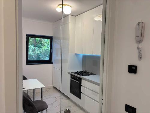 Apartament 3 camere ultralux cu vedere directă spre Parc Floreasca 10