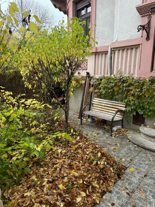 Residence in an interwar villa | Heritage Architecture | 4 rooms 11