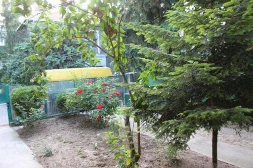 Inchiriere Vila Floreasca 3