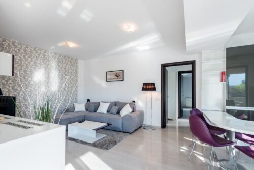 Crosspoint Imobiliare – Crosspoint Real Estate- 2 Camere Boutique cu  Terasă Generoasă | Domenii – lângă Herăstrău | - crosspoint-imobiliare.ro