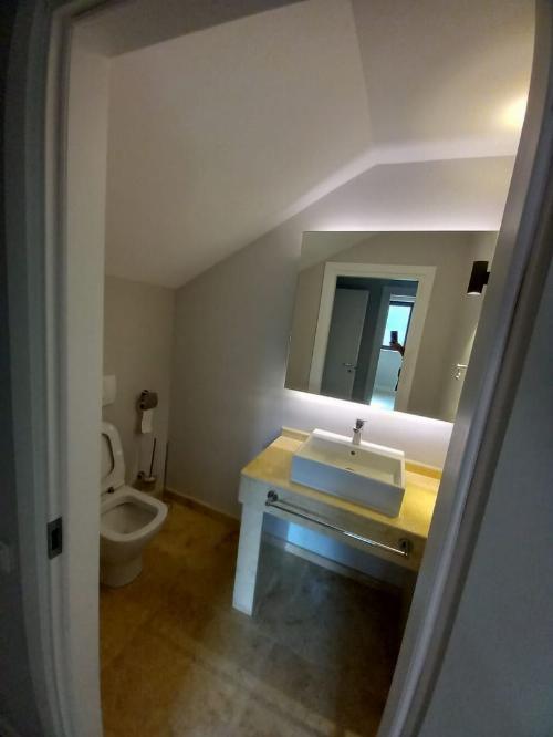 Pipera-Oxford Gardens, 4-room villa for rent 15