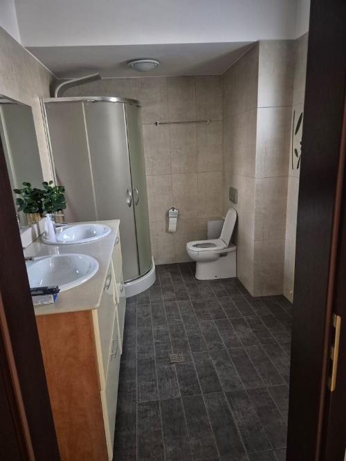 Cotroceni, apartament in vila de inchiriat. Birou/rezidential 11