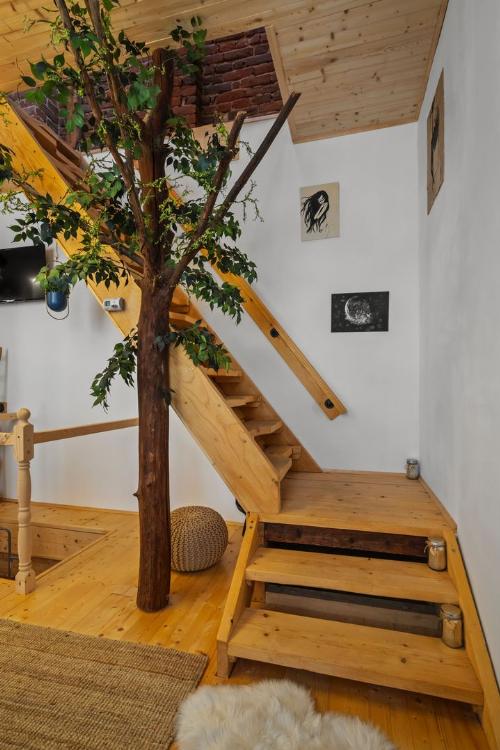 Casă boemă restaurată – ideală pentru locuire sau Airbnb 6