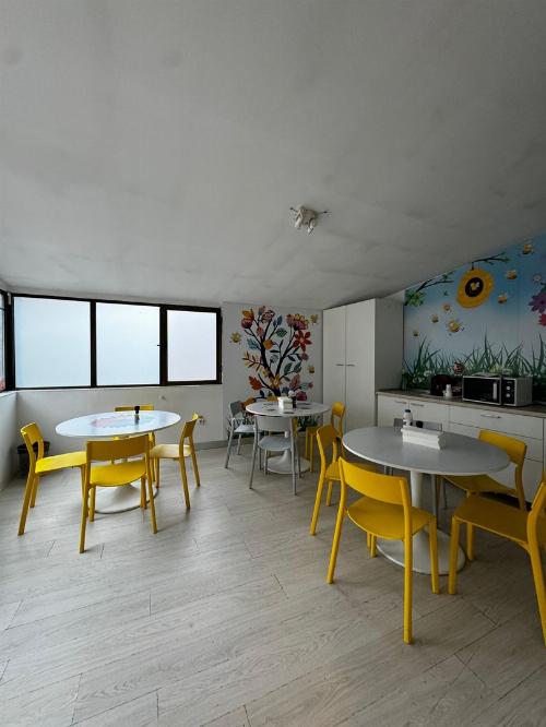 Stefan cel Mare, individual building for rent 4