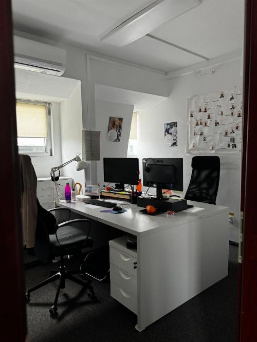 Stefan cel Mare, individual building for rent 9