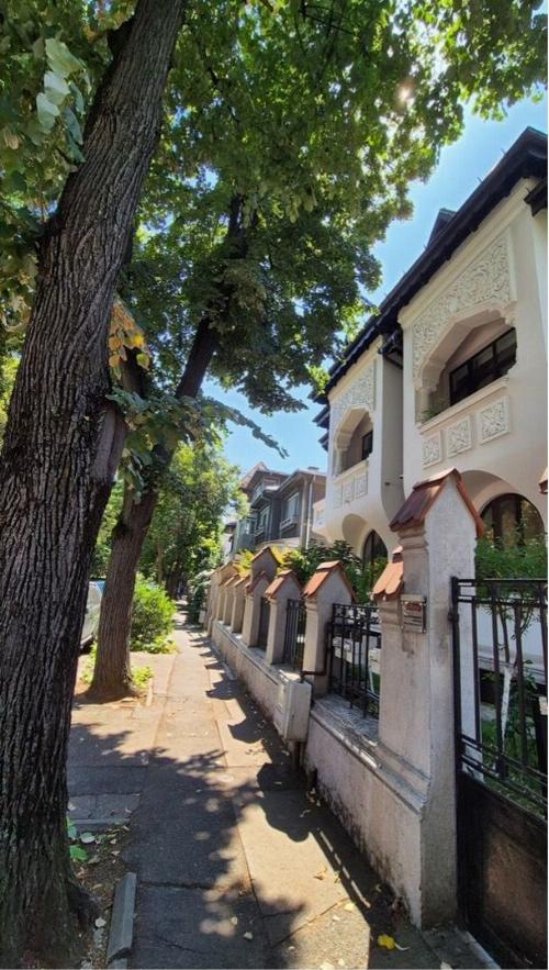 Spatiu birouri Dorobanti Capitale, vila interbelica 10