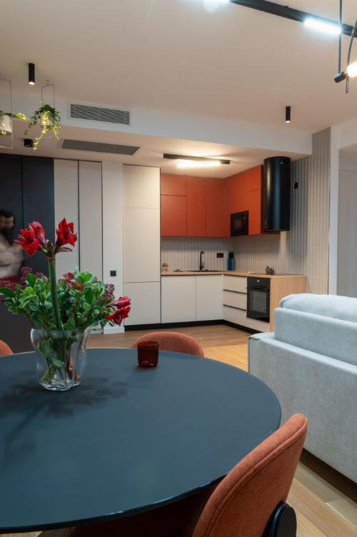 One Herastrau Vista / First Rent / Underground Parking 12