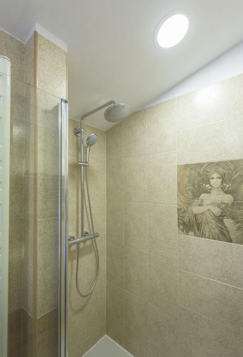 Attic in villa | Aviatorilor – Kiseleff | Separate Entrance 8