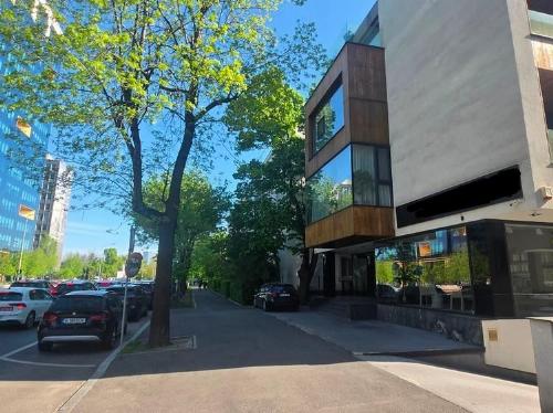 Spatiu comercial Calea Floreasca / terasa generoasa / 2 parcari 1