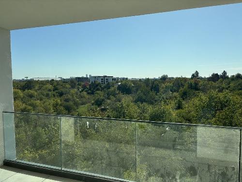 3 ROOMS LUX THE IVY Băneasa | First Rental | Free view of nature 7