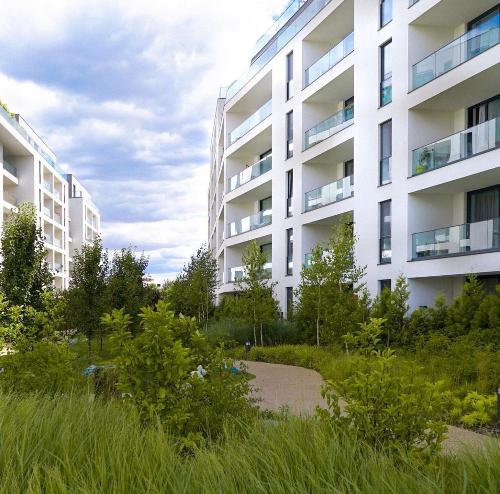 3 ROOMS LUX THE IVY Băneasa | First Rental | Free view of nature 8