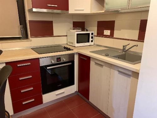 2 room apartment for rent | North Area Lake – Aviaţiei – Herăstrău 4