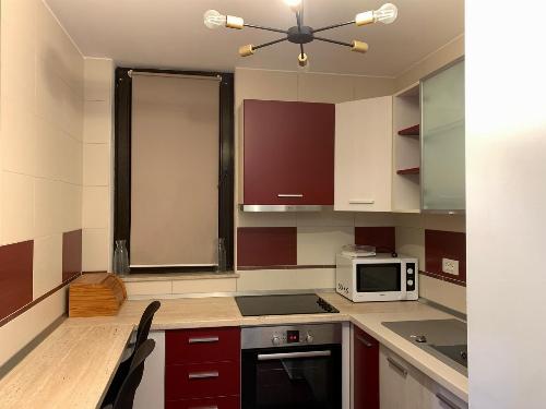 2 room apartment for rent | North Area Lake – Aviaţiei – Herăstrău 8