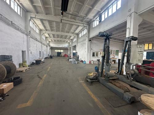 Warehouse for sale – Drumul Intre Tarlale 4
