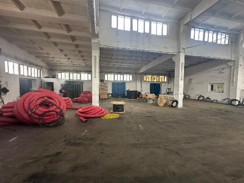 Warehouse for sale – Drumul Intre Tarlale 5