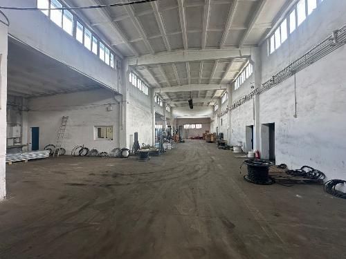 Warehouse for sale – Drumul Intre Tarlale 6