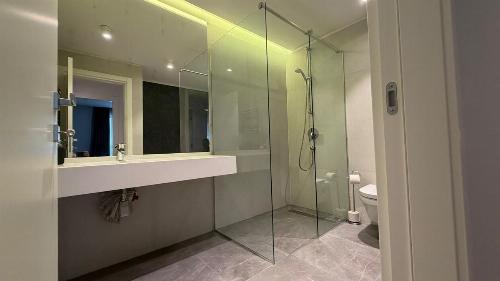 Apartament complet mobilat și utilat | Herăstrău | Etaj 3 8
