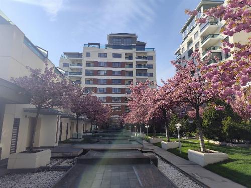 Emerald Residence | Lake View | Underground Parking 11