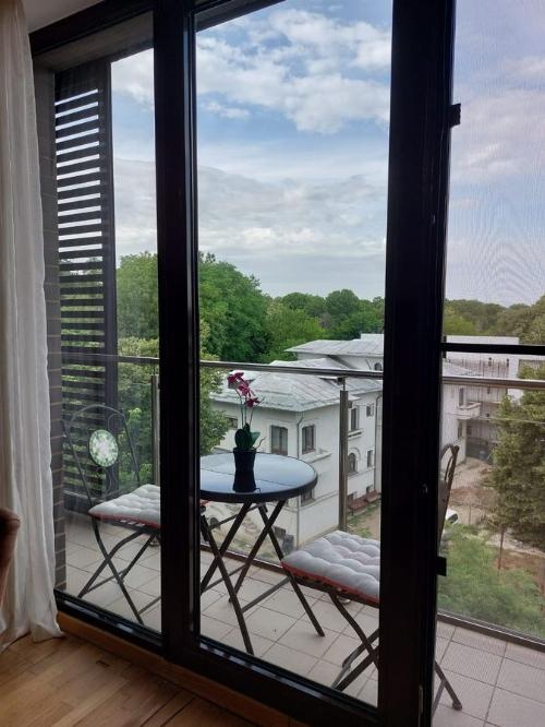 Bloc boutique, Kiseleff! Apartament mobilat / parcare sunterană 3