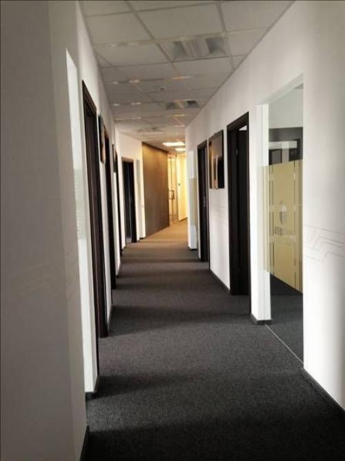 Herastrau Office Building 9
