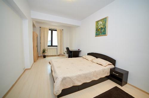 2 room apartment in North Area Lake View Herastrau complex 11