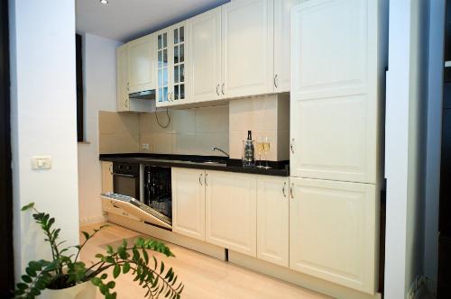 2 room apartment in North Area Lake View Herastrau complex 8