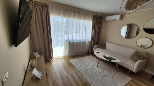 Studio Herastrau – ideal investment for Booking & Airbnb 2