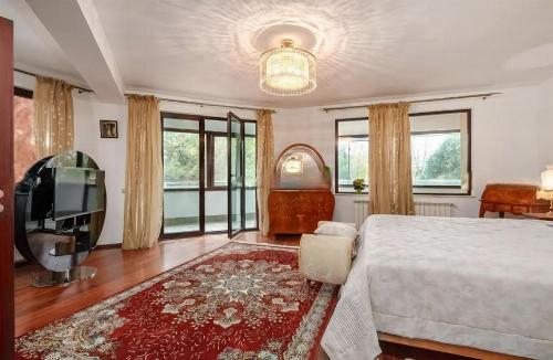 Vila de vanzare in Erou Iancu Nicolae / Teren generos 12